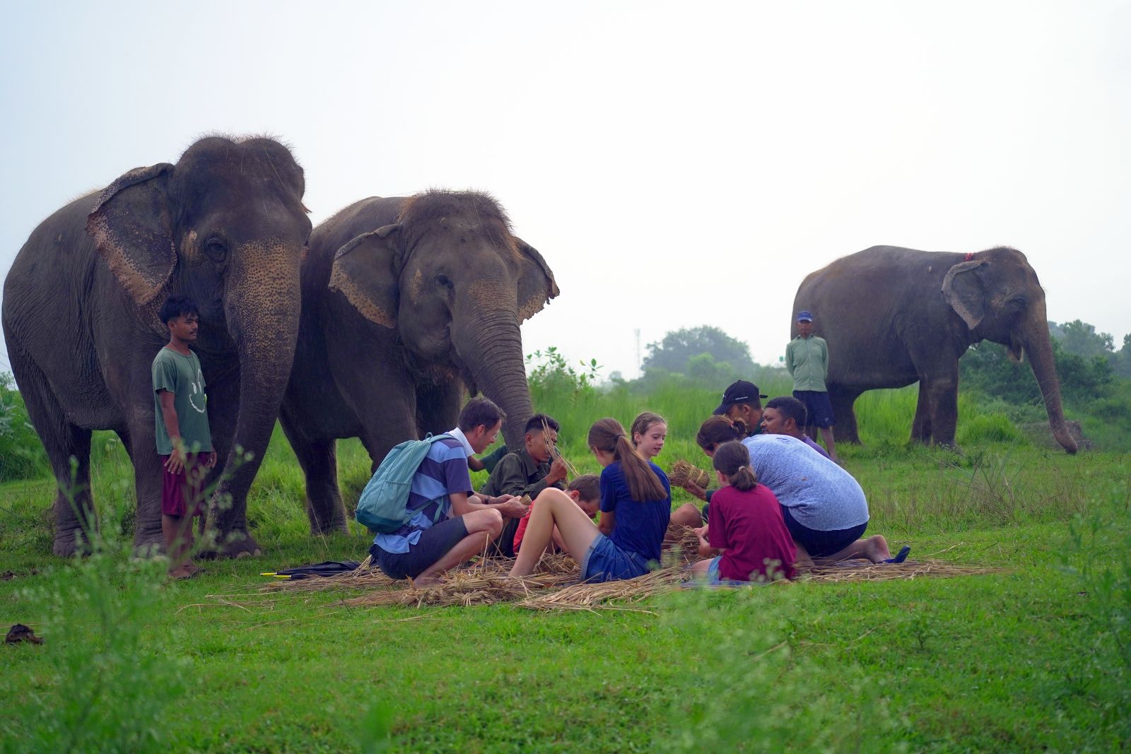 Food Candy Making for Elephants at Sapana Village Lodge